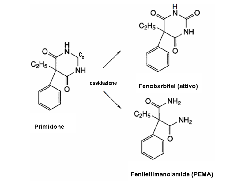 File:Primidone metaboliti.PNG