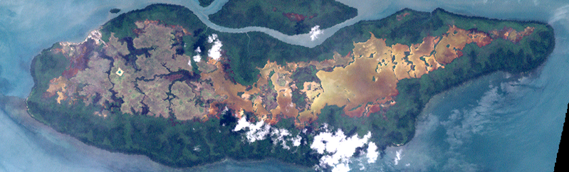 File:Saibai (Landsat).png