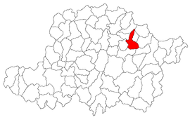 Location in Arad County