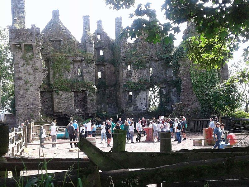 File:Sleady Castle 2019.jpg