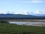 A shallow braided river flows over a plain partly covered by green plants and grasses. Jagged snow-covered mountains rise in the distance.