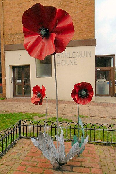 File:Teddington, Poppies.jpg