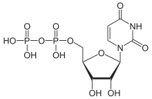 Skeletal formula of uridine diphosphate