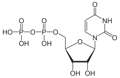 File:Uridindiphosphat protoniert.svg