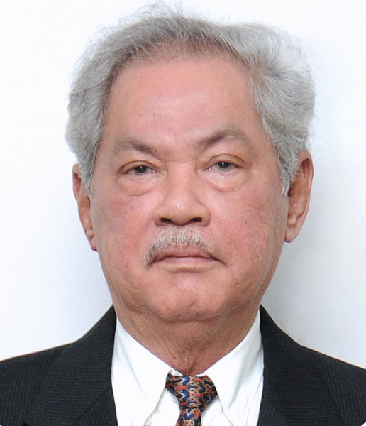 File:Abdul Malik Fadjar.png