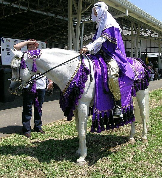 File:Arabian costume.JPG