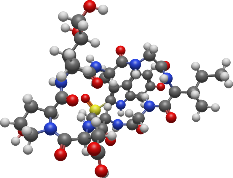 File:B-amanitin 3D BS.png