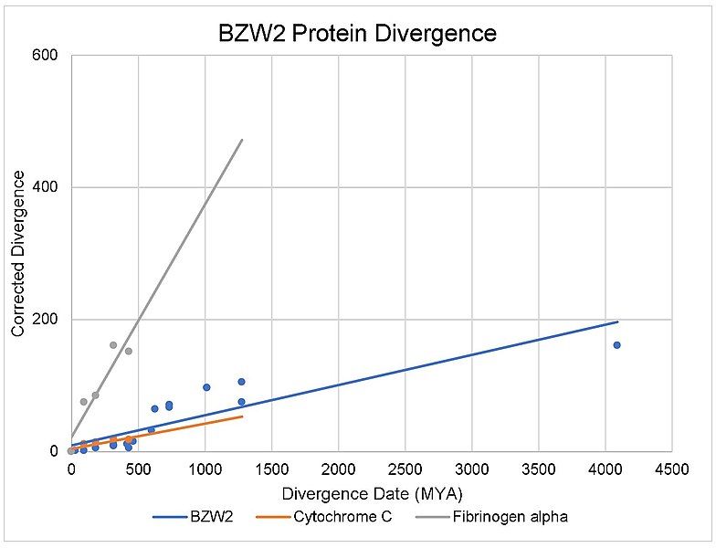 File:BZW2 Divergence Rate.jpg