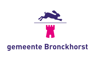 File:Bronckhorst vlag.svg