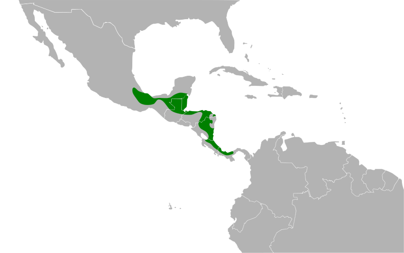 File:Caryothraustes poliogaster map.svg