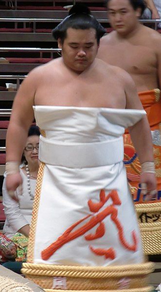 File:Chiyoarashi 2011 Sep.JPG