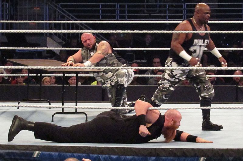 File:Dudleys vs Wyatts.jpg