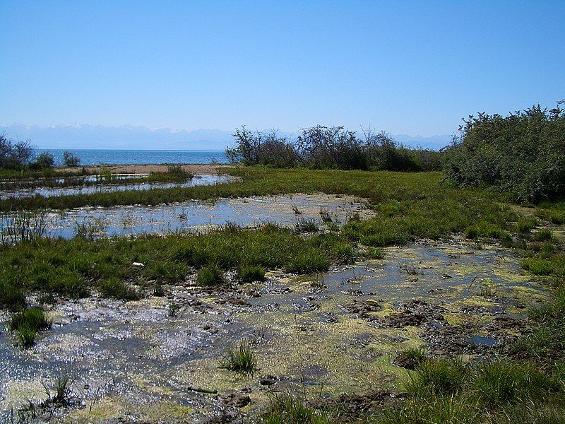 File:E8289-Tamchy-Bay-wetland.jpg