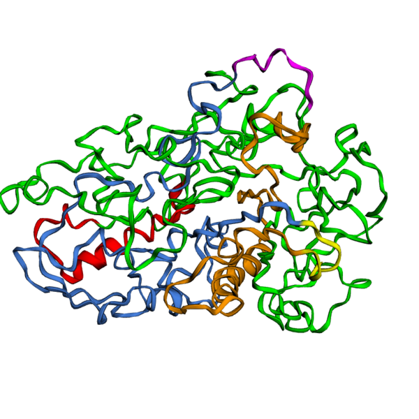 File:ExMol Tex55 .png