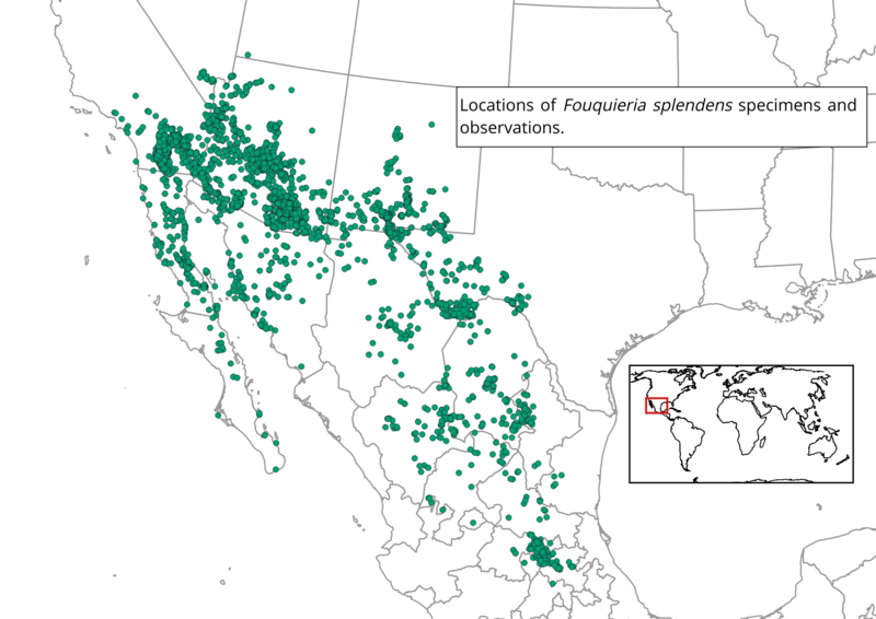 File:Fouquieria splendens distribution.png