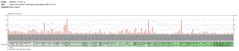 File:KNOP1 Expression.png