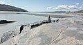 Quicksands at the estuary of Quinnguata Kuussua, emptying into Kangerlussuaq fjord.