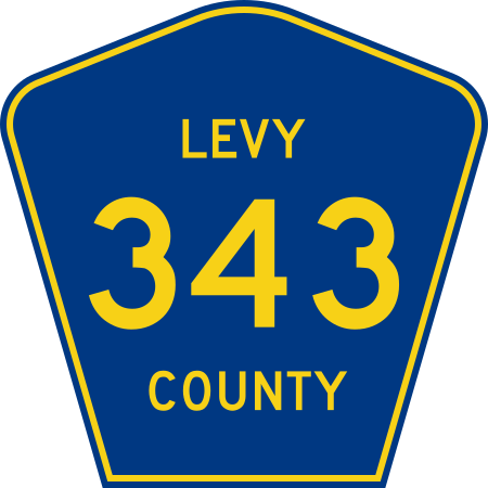 File:Levy County 343.svg