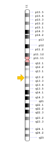 File:Location of TCIRG1.png