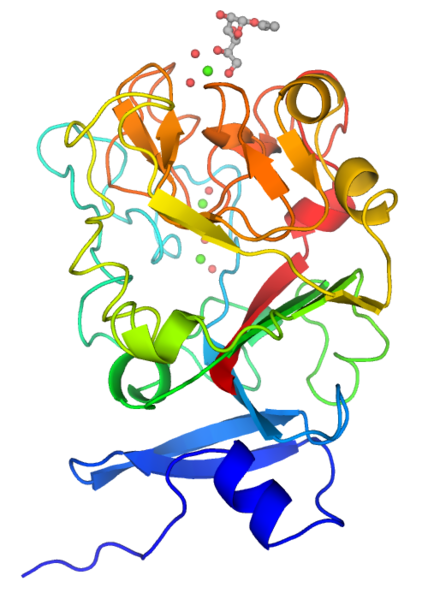 File:Monomeric human intelectin-1.png