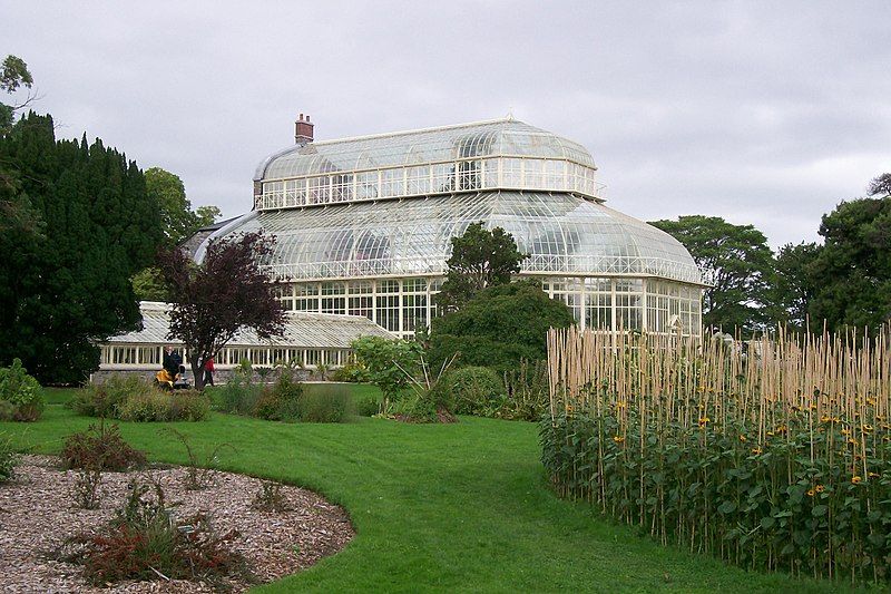 File:Palm House Dublin.jpg