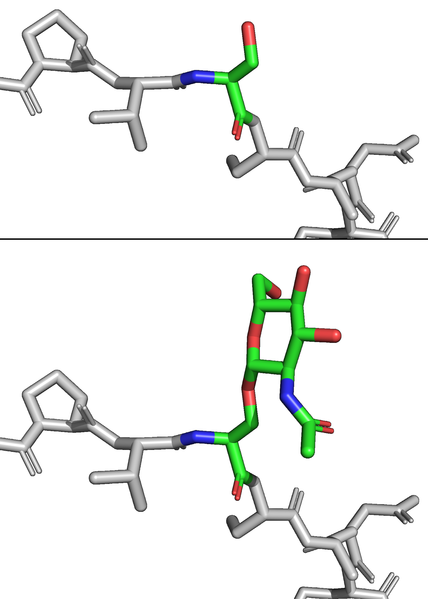 File:Peptide glycopeptide.png