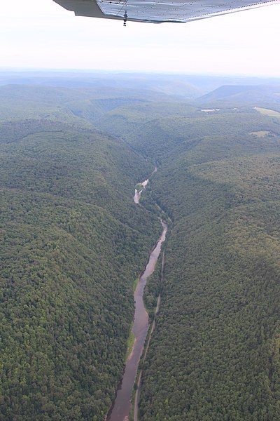 File:Pine-creek-gorge-aerial-3.jpg