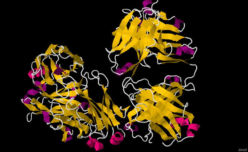 File:Rituximab.png