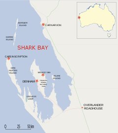 Map of Shark bay. Bernier and Dorre island are in the top-left quarter, they are thin and long, stretching nearly straight south to north.