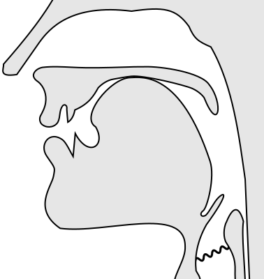 File:Voiced palatal nasal.svg