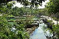 Xcaret pond