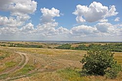 Water protection zone near the Karpovka River in Kalachyovsky District