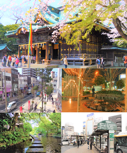 Mishima Taisha, Mishima Odori Shopping Street, Bamboo light, Genbei River, City center