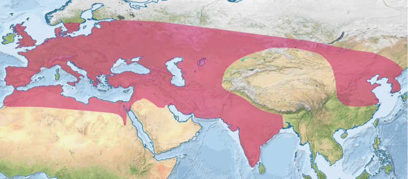 File:Aurochs distribution.png