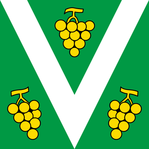 File:CHE Vacallo Flag.svg