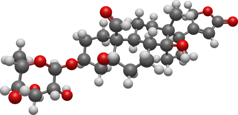 File:Convallatoxin 3D BS.png