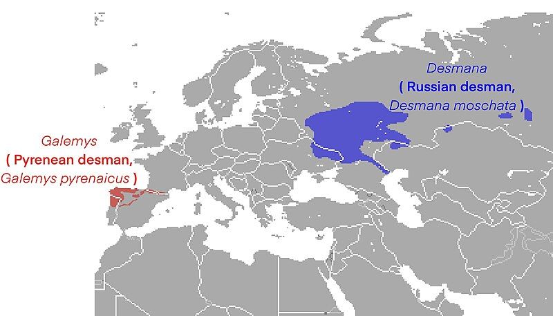 File:Desman range.jpg