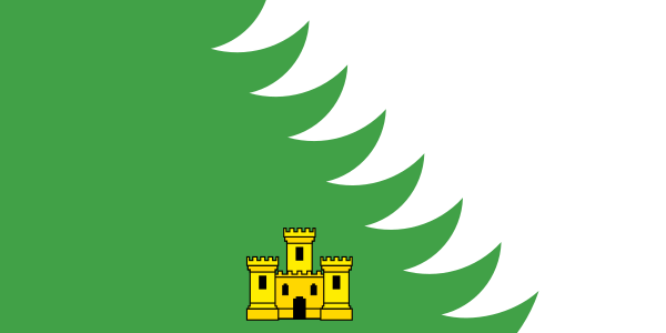 File:Flag of Chojniki.svg