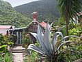 Cottage in Windwardside