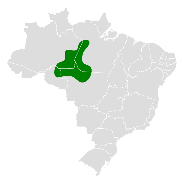 File:Hylopezus whittakeri map.svg