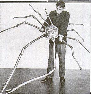 A Japanese spider crab whose outstretched legs measured 3.7 m (12 ft) across