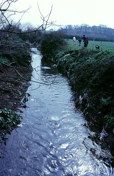 File:Marrana della caffarella.jpg