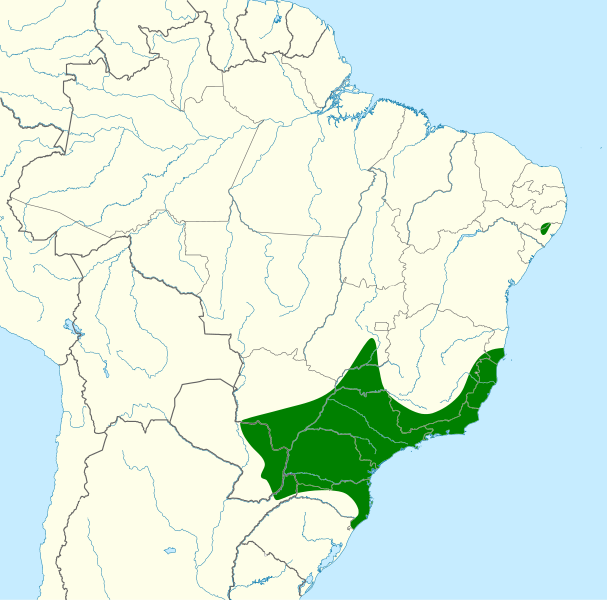 File:Megascops atricapilla map.svg