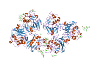 2j0y: L-FICOLIN COMPLEXED TO B-1,3-D-GLUCAN