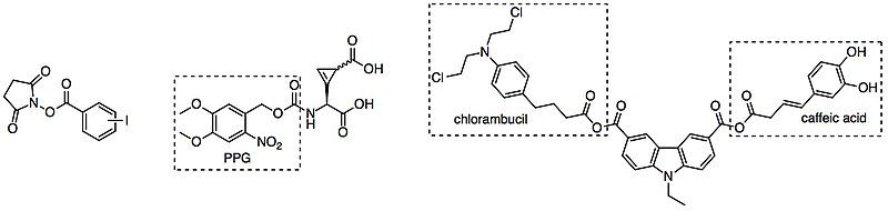 File:Photocaged Substrates.jpg