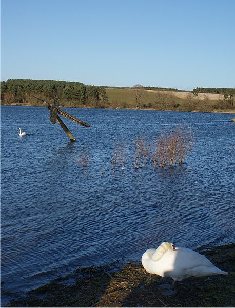 File:Pitsford Water.jpg