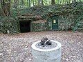 Entrance prehistoric flintstone mine in Savelsbos forest