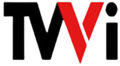 Second logo as TVVI from 2008 to 2010.