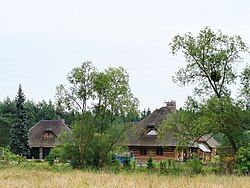 Modern thatched house