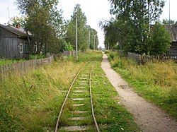 A decrepit railway is depicted. It has a great deal of grass and weeds protruding from it. A pathway stretches parallel to the railway. On either side, we see two rundown homes, obscured by foliage.